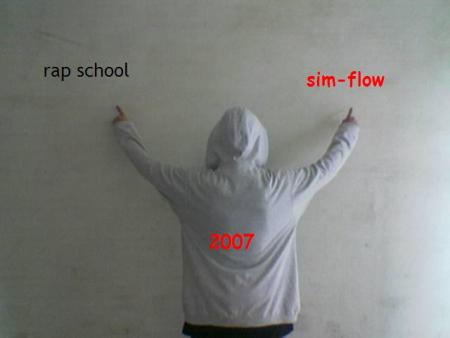 moi(sim-flow)